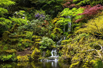 Картинка природа парк японский садик