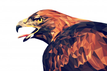 Картинка векторная+графика животные+ animals орел