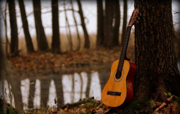 Картинка музыка -музыкальные+инструменты деревья гитара природа