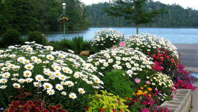 Обои картинки фото природа, парк, цветы, фонарь, клумбы, озеро