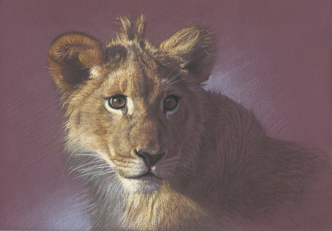 Обои картинки фото рисованное, животные,  львы, львенок, фон, взгляд