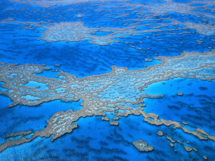 Картинка большой барьерный риф австралия природа моря океаны синий