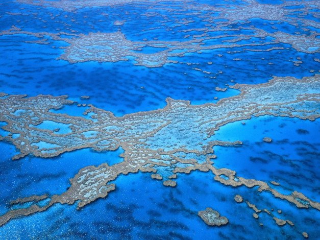 Обои картинки фото большой, барьерный, риф, австралия, природа, моря, океаны, синий