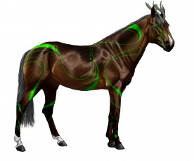 Картинка рисованные животные сказочные мифические лошадь