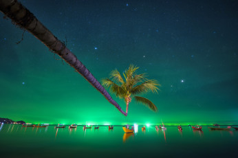 Картинка tao +thailand корабли лодки +шлюпки тао thailand пальма звёздное небо таиланд сиамский залив