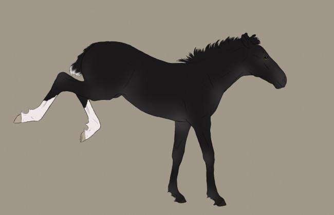 Обои картинки фото рисованные, животные,  лошади, лошадка