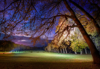 Картинка природа деревья парк газон закат вечер