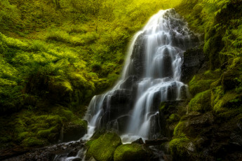 Картинка природа водопады поток лес камни мох водопад вода