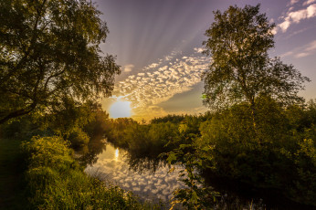 Картинка природа восходы закаты лес река солнце