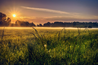 Картинка природа восходы закаты утро поле туман