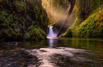 Картинка природа водопады река деревья озеро лес