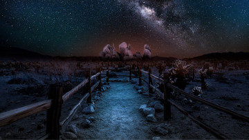 Картинка long+road природа дороги ночь путь кактусы пустыня звезды млечный+путь лунный+свет