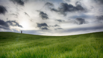 Картинка природа луга человек силуэт поле роса утро тучи небо трава