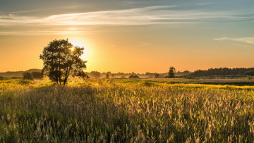Картинка природа восходы закаты лето поле утро