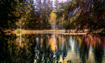 Картинка природа реки озера отражение озеро деревья лес