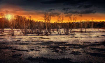 Картинка природа восходы закаты небо деревья зима снег