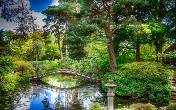 Картинка природа парк кусты деревья мостик англия пруд tatton hall зелень