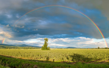 Картинка природа радуга canada british columbia pitt meadows холмы дерево сад поле облака небо канада панорама