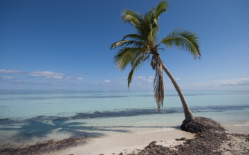 Картинка природа тропики sand beach sea tropical paradise shore summer пальмы песок берег пляж море palms