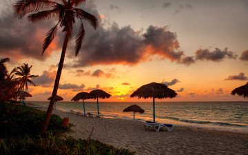 Картинка природа восходы закаты берег закат sunset море песок пальмы sand tropical beach sea shore paradise пляж