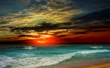 Картинка природа восходы закаты море sand песок берег закат пляж tropical paradise shore sunset beach sea