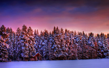 Картинка природа зима избушка лес снег закат деревья
