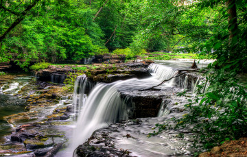 Картинка природа водопады лес деревья река пороги поток камни скалы