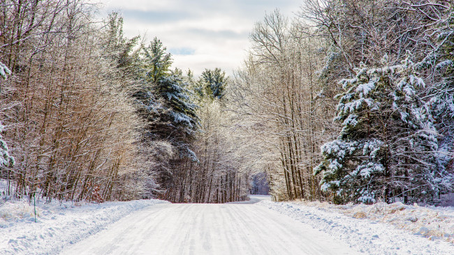 Обои картинки фото природа, зима, тракт, снег, лес