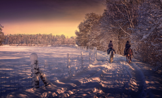 Обои картинки фото природа, зима, снег, деревья, дорога, парк, лошади, всадники