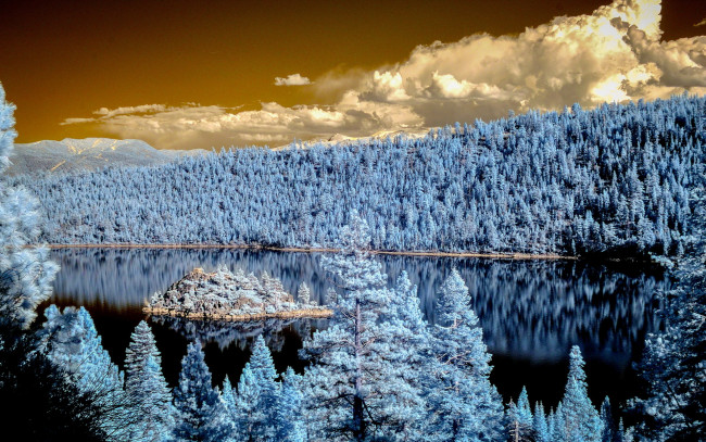 Обои картинки фото природа, реки, озера, лес, зима, река, ели, небо, пейзаж