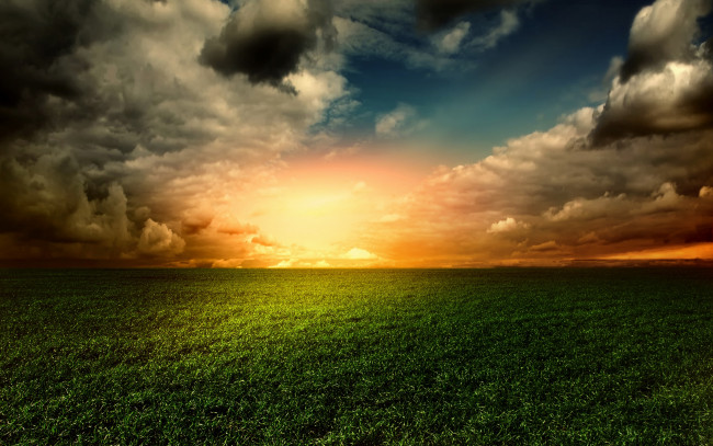 Обои картинки фото природа, восходы, закаты, sunset, sky, landscape, трава, поле, небо, закат, nature