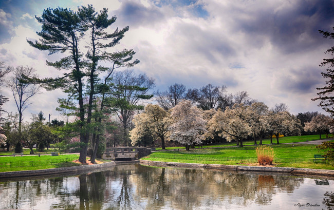 Обои картинки фото природа, парк, озеро, весна, деревья, небо