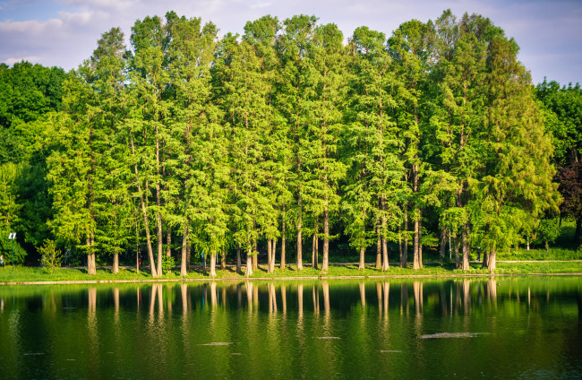 Обои картинки фото природа, реки, озера, небо, озеро, деревья, зелень, ряд