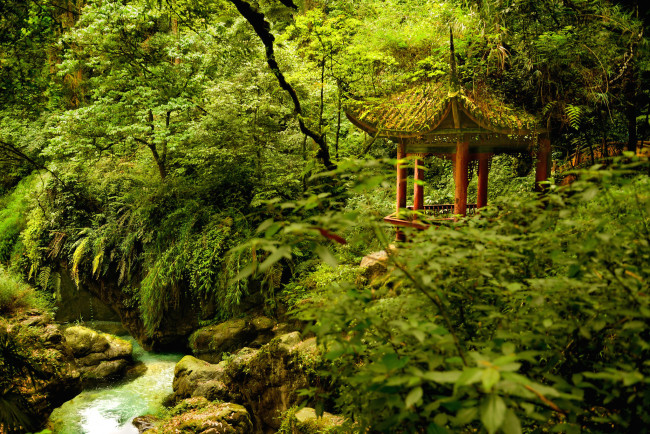 Обои картинки фото природа, парк, зелень, деревья, пагода, река, беседка