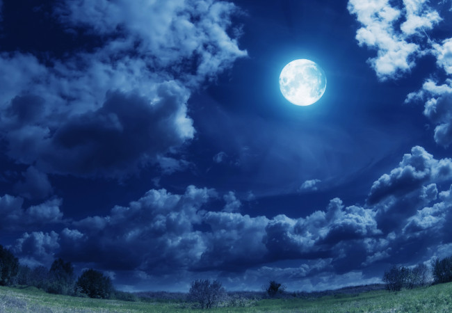 Обои картинки фото природа, облака, луг, ночь, свет, небо, полнолуние, луна, трава, деревья