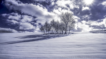 Картинка природа зима облака деревья снег