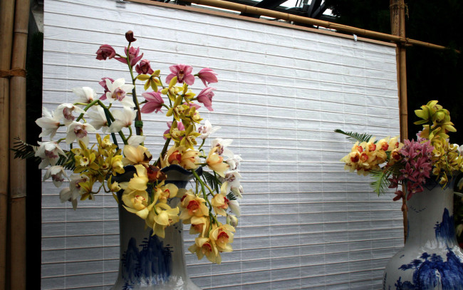 Обои картинки фото цветы, орхидеи, выставка, вазы