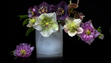 Картинка цветы геллеборус+ морозник букет