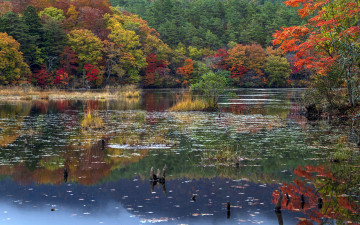 Картинка природа реки озера пруд деревья осень