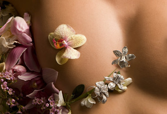 Картинка разное украшения аксессуары веера кольцо серьги орхидеи грудь