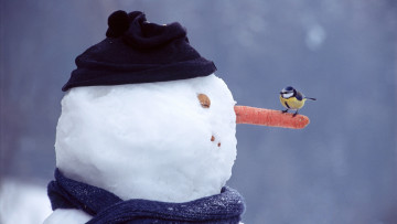 обоя праздничные, снеговики, синичка, снеговик