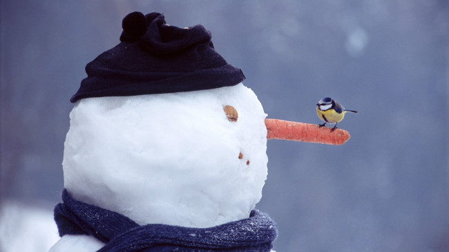 Обои картинки фото праздничные, снеговики, синичка, снеговик