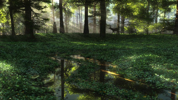 Картинка 3д графика nature landscape природа человек косуля солнечные лучи лес лужи вода растения