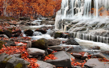 обоя autumn, rapids, природа, водопады, осень, деревья, камни, листва, водопад