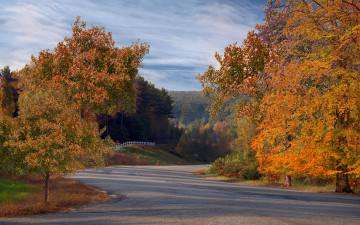 обоя autumn, roadside, природа, дороги, осень, дорога, деревья