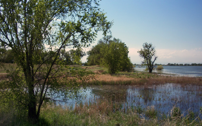 Обои картинки фото barr, lake, scenic, природа, реки, озера, трава, озеро, деревья