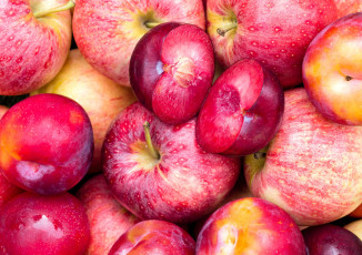 Картинка еда фрукты +ягоды нектарин сливы яблоки