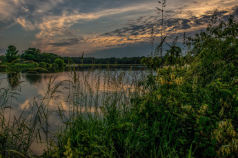 Картинка природа реки озера лес река трава