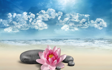 Картинка разное компьютерный+дизайн небо sea море flower sky nature спа камни spa цветок лотос lotus природа rocks