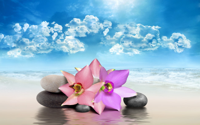 Обои картинки фото разное, компьютерный дизайн, flowers, sea, sky, rocks, spa, природа, цветы, nature, камни, небо, море, спа